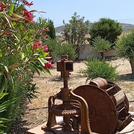 Angelika Glinado Naxos